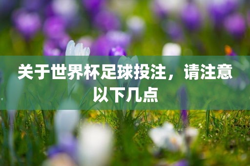 关于世界杯足球投注，请注意以下几点