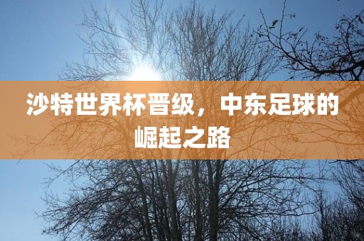 沙特世界杯晋级，中东足球的崛起之路