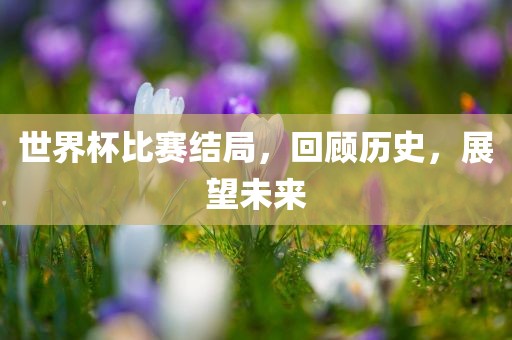 世界杯比赛结局，回顾历史，展望未来