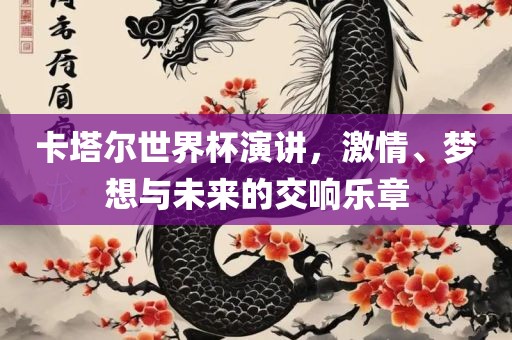 卡塔尔世界杯演讲，激情、梦想与未来的交响乐章