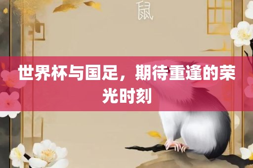 世界杯与国足，期待重逢的荣光时刻