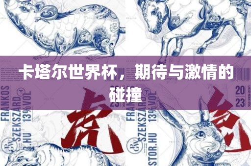 卡塔尔世界杯，期待与激情的碰撞
