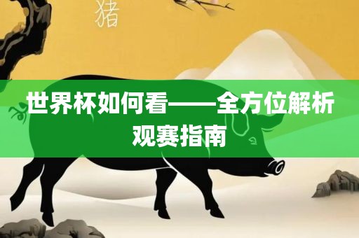 世界杯如何看——全方位解析观赛指南