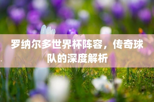 罗纳尔多世界杯阵容，传奇球队的深度解析