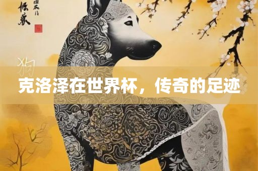 克洛泽在世界杯，传奇的足迹