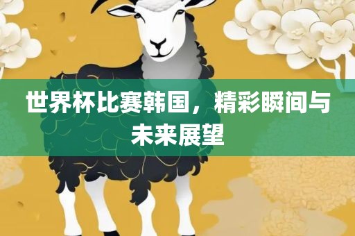 世界杯比赛韩国，精彩瞬间与未来展望