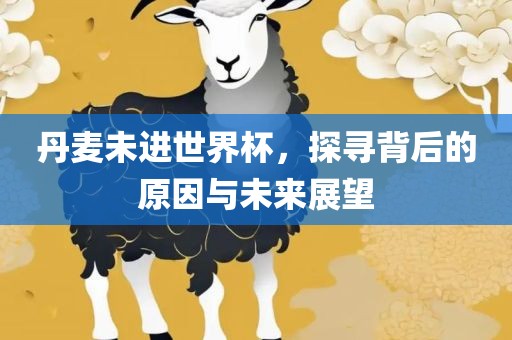 丹麦未进世界杯，探寻背后的原因与未来展望