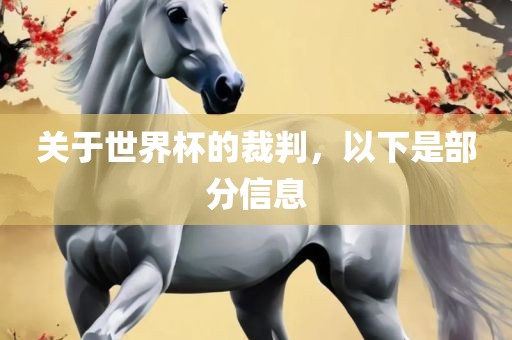 关于世界杯的裁判，以下是部分信息