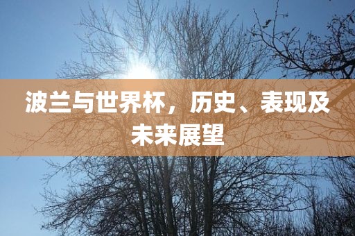 波兰与世界杯，历史、表现及未来展望