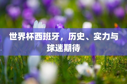 世界杯西班牙，历史、实力与球迷期待