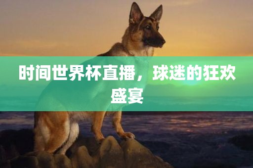 时间世界杯直播，球迷的狂欢盛宴