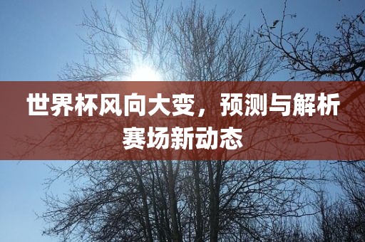 世界杯风向大变，预测与解析赛场新动态