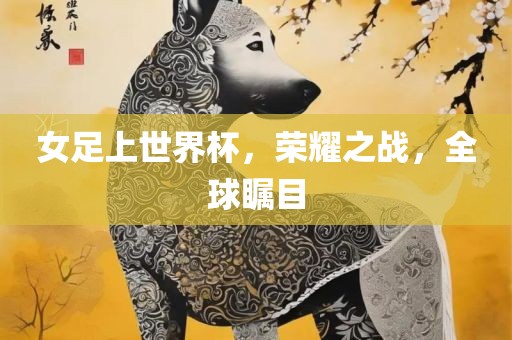 女足上世界杯，荣耀之战，全球瞩目