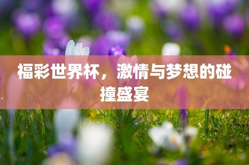 福彩世界杯，激情与梦想的碰撞盛宴