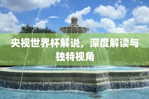 央视世界杯解说，深度解读与独特视角
