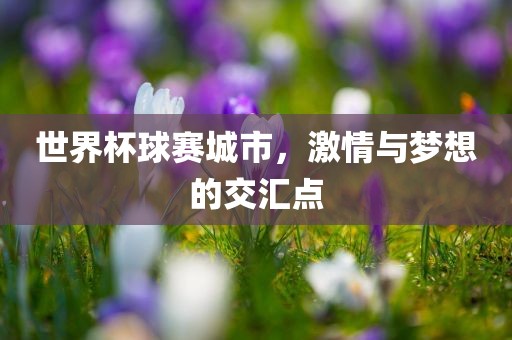 世界杯球赛城市，激情与梦想的交汇点