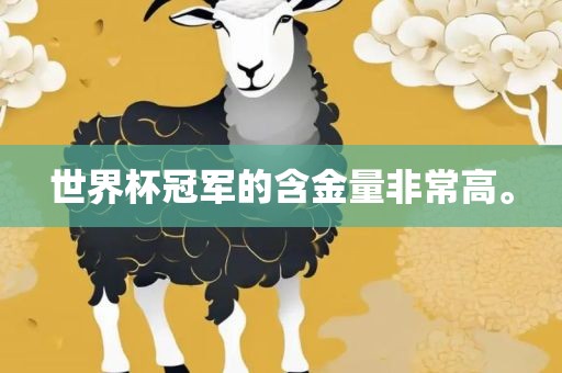 世界杯冠军的含金量非常高。