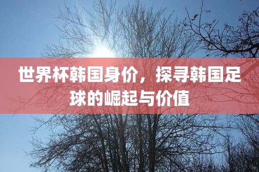 世界杯韩国身价，探寻韩国足球的崛起与价值