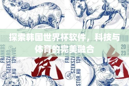 探索韩国世界杯软件，科技与体育的完美融合