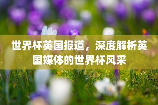 世界杯英国报道，深度解析英国媒体的世界杯风采