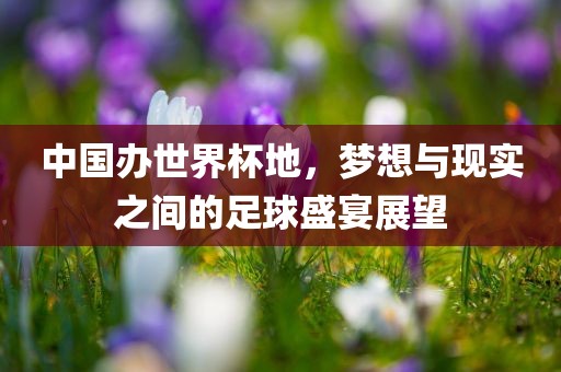 中国办世界杯地，梦想与现实之间的足球盛宴展望