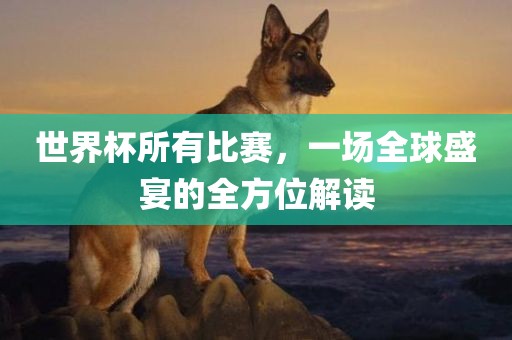 世界杯所有比赛，一场全球盛宴的全方位解读