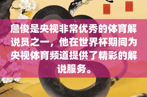 詹俊是央视非常优秀的体育解说员之一，他在世界杯期间为央视体育频道提供了精彩的解说服务。
